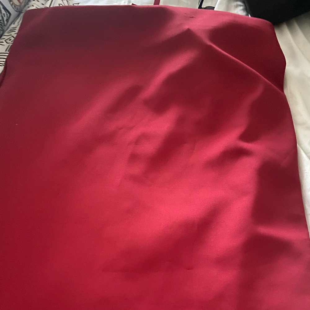 Red pencil skirt with gold zipper down the back